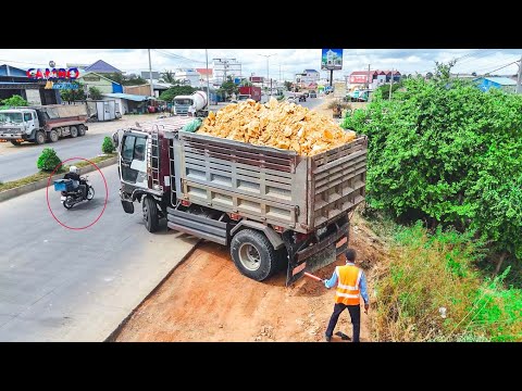 Let's Watch Start Project Landfill by Smart Driver 5T Trucks unloading SoilRock &Dozer D31P Pushing 