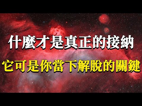 99%的人都錯解了接納，它可不是讓你強迫自己接受不喜歡的東西或者直接放縱擺爛！這樣只會讓你更加痛苦！#能量#業力 #宇宙 #精神 #提升 #靈魂 #財富 #認知覺醒 #修行
