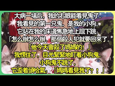 動物治癒💕大病一場後，我的右眼能看見鬼了。我看見的第一隻鬼，是我的小狗。它站在我的床邊焦急地上躥下跳：「怎麼辦怎麼辦，那個殺人犯就要回來了。「他今天會殺了媽媽的！」我目光緊緊盯著小狗鬼。#薄荷听书