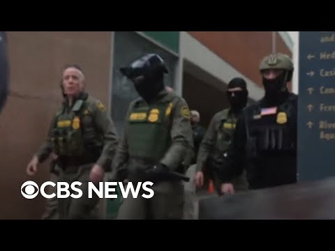 Over 250 people arrested since New Orleans immigration crackdown, DHS says