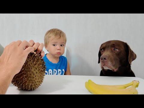 Hilarious Reaction! I Open Durian in Front of My Boy and Dog!