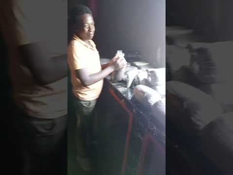 Inoculate 5 Bags of Substrate in Under 10 Minutes #shorts