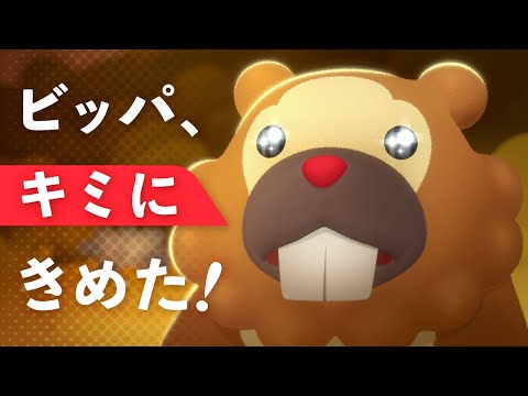 【公式】オリジナルアニメ「ビッパ、キミにきめた！」