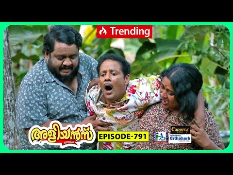 Aliyans - 791 | ഛത്തീസ്ഗഡ് ക്ളീറ്റോ | Comedy Serial (Sitcom) | Kaumudy