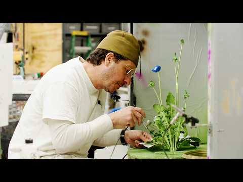 Artist Tony Matelli: "Being an artist is great."