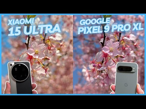 Strawberries and City Lights Which Camera Captures Japan Best?