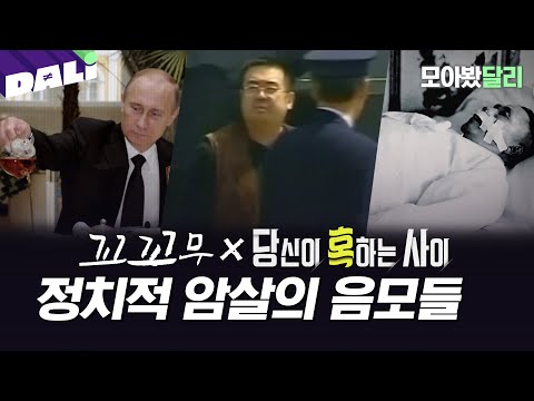 [모아봤달리] 홍차, VX, 흉탄... 정치인들의 죽음 뒤에 숨겨진 음모들 | 꼬리에 꼬리를 무는 그날 이야기, 당신이 혹하는 사이 (SBS 방송)