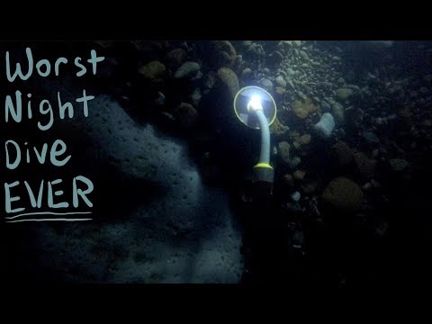 Night Dive Gone Wrong!