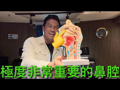 極度非常重要的鼻腔！