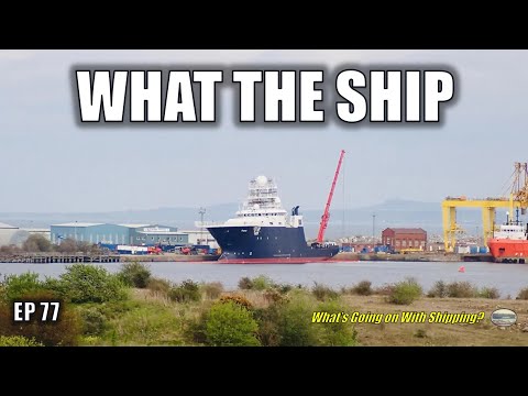What The Ship (Ep 77) | Updates | Container Rates | Russian Oil | South China Sea | Sudan Evacuation