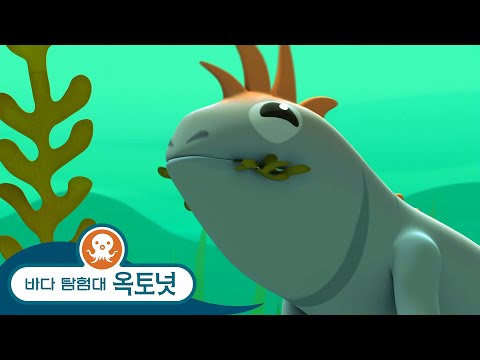 바다 탐험대 옥토넛 - 바다 이구아나 & 길 잃은 레몬상어 - 모음집