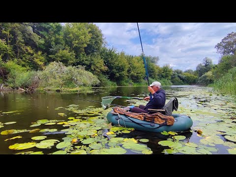 CATCHED A BAG OF FISH IN THREE HOURS. Float fishing