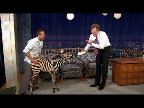 Animal Expert Jarod Miller: The 3-Month-Old Zebra | Late Night with Conan O’Brien