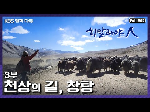 [명작다큐] 마지막 남은 천상의 유목민 창파족 | 히말라야人 3부 천상의 길, 창탕 (KBS 140417 방송)