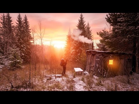 Forgotten Forest Cabin. The Beginning of a New Story