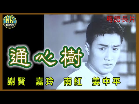 《粵語長片》通心樹 (1959)｜謝賢｜嘉玲｜南紅｜姜中平｜李鵬飛｜金雷｜李亨｜胡笳｜導演：陳文｜ 香港電影｜香港粵語電影｜粵語中字