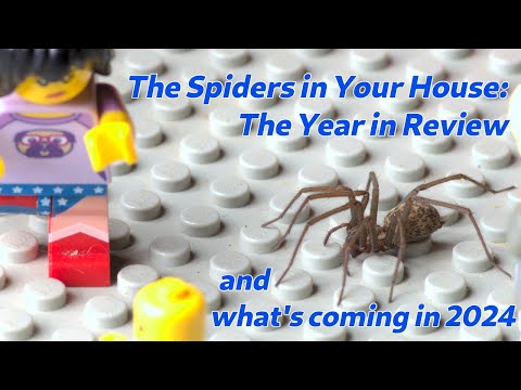 The Spiders in Your House - What's Coming in 2024