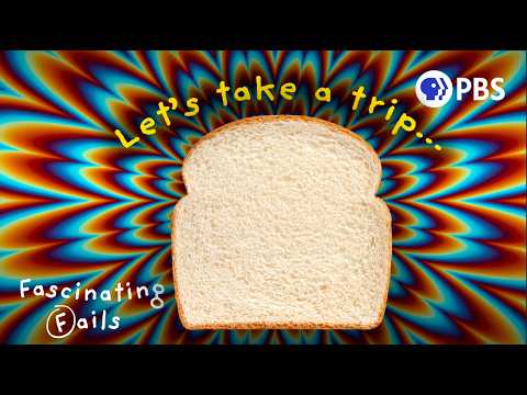 How Moldy Bread Can Change Your Brain