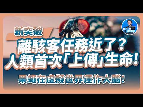 離駭客任務近了？人類首次「上傳」生命？果蠅已在虛擬世界中持續運作大腦！