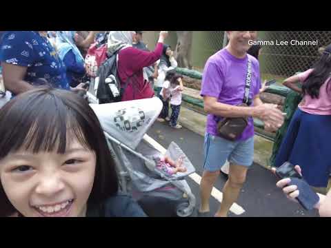 【游玩新山动物园】排长龙还下雨结果。。。