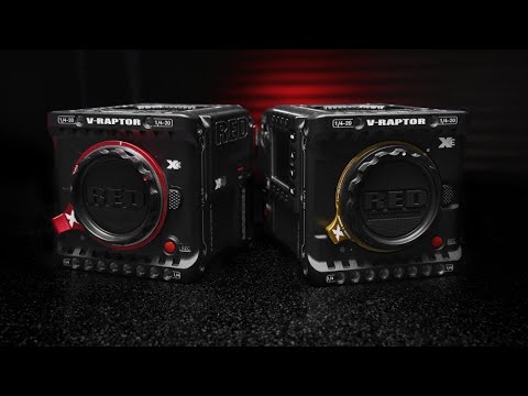 V-RAPTOR XE | Official Introduction | #ShotonRED