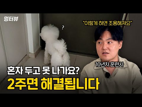 I'll show you how to overcome separation anxiety in dogs in just two weeks. Just follow along | M...