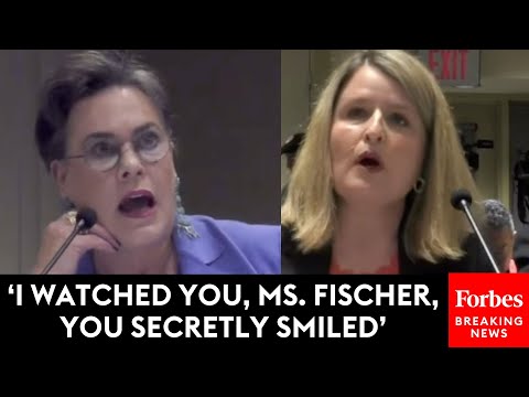 Harriet Hageman Calls Out Pro-Gun Control Witness To Her Face At Hearing Targeting Alvin Bragg