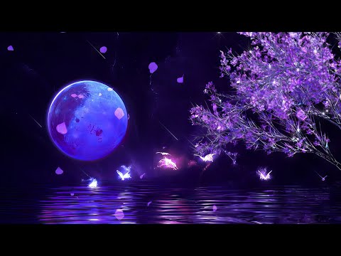 No Ads • Adhd Sleep Therapy • Healing Of Stress, Anxiety & Emotional Burnout • Melatonin Release