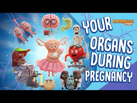 How Pregnancy Changes a Woman's Body (and Brain) Forever