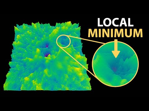 The Misconception that Almost Stopped AI [How Models Learn Part 1]