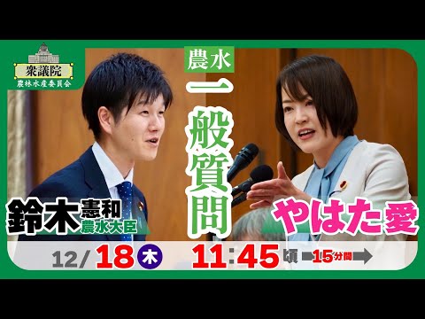 【#やはた愛 の国会質問！】農林水産委員会・一般質問（閉会中審査）2025年12月18日11:45頃～