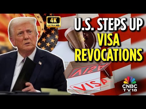 US Revokes 85,000 Visas Since January | Donald Trump | US Visas | 4K Video | N18G