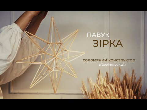 Павук Зірка з соломи