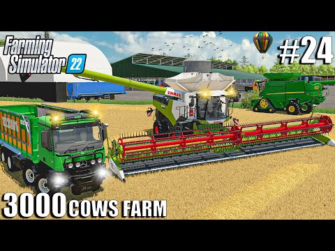 Big WHEAT Harvest with the NEW CLAAS LEXION | 3000 COWS Farm #24 | Farming Simulator 22