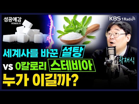 세계사를 바꾼 설탕 vs 0칼로리 스테비아…누가 이길까? - 곽재식 작가 [성공예감 이대호입니다] | KBS 251219 방송