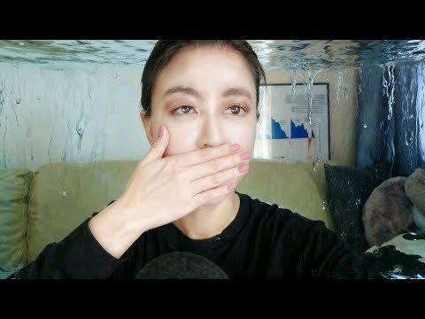 最後警告！十年一遇股市泡沫爆破｜Mila Yuen 投資日常