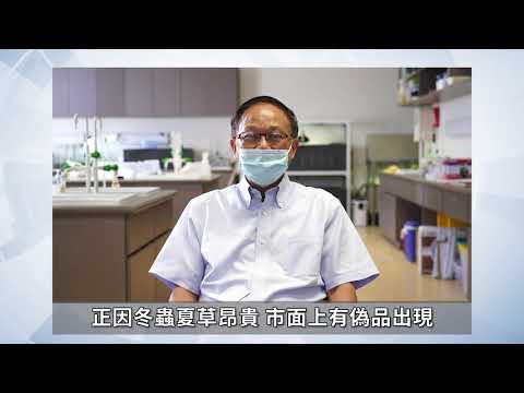 趣談中醫「中藥之王」冬蟲夏草