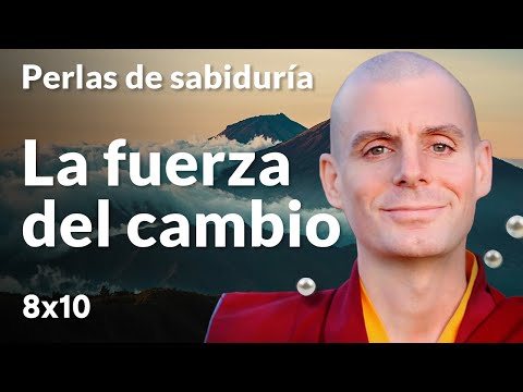 Por qué tu cambio despierta resistencia - Perlas de Sabiduría [Lección 8] (PARTE 4)| Lama Rinchen