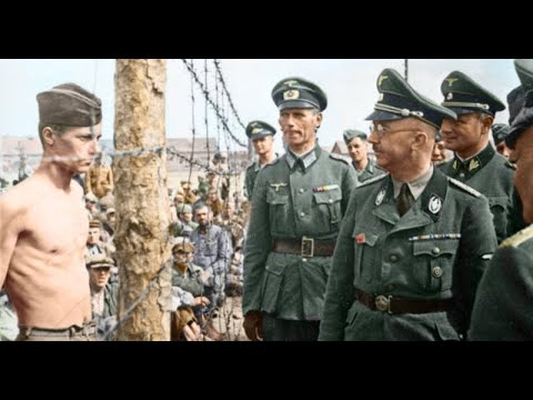 The Great Rabbit Hunt: Soviet POW Breakout Mauthausen 1945 (Episode 1)