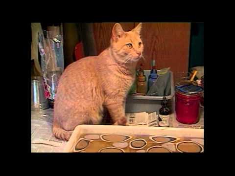 The Art of Paper Marbling - Main Street, Wyoming