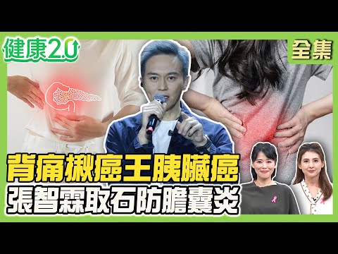 吃不下飯竟胰臟癌逝！背痛揪癌王 胰癌常誤判消化道疾病！3營養素護胰臟！張智霖取石防膽囊炎 膽結石當心2症狀！健康2.0 20251026【完整版】#陳欣湄#韋汝#錢政弘#王健宇#羅珮琳#趙函穎#雷議宗