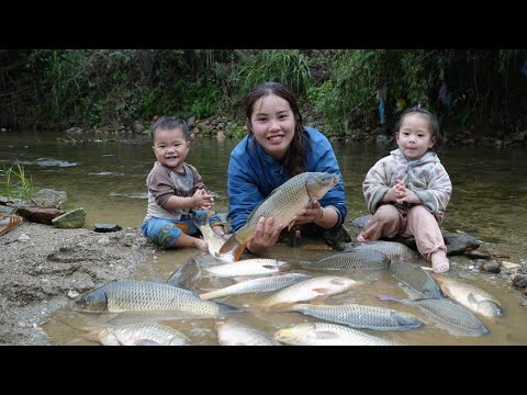 How to harvest giant fish to sell at the market with your little daughter