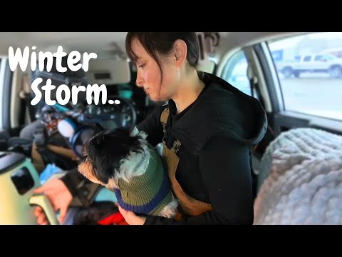 Winter Stealth Car Camping in a Walmart Parking Lot - Freezing Temps and Snow!