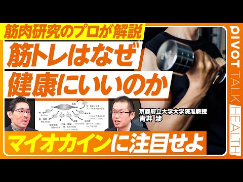 【筋肉研究のプロが解説：筋トレはなぜ健康にいいのか？】筋肉の種類／遅筋と速筋／運動神経は遺伝子で決まるのか？／筋トレの適量は？／筋肉の記憶／マイオカインとは何か？／スクワットと握力が健康長寿のカギ