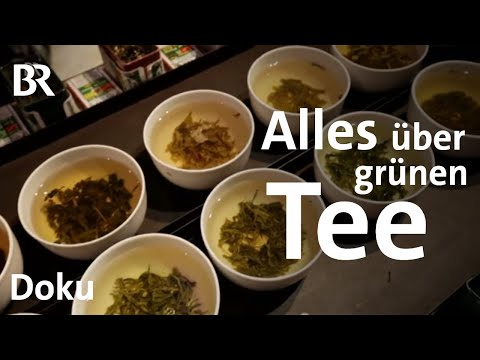 Der grüne Tee und seine wunderbare Welt | Schmidt Max | freizeit | Doku | BR