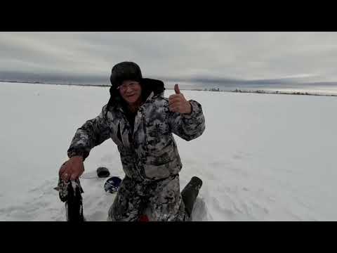 Второй день Рыбалки. От ЩУК нет отбоя.