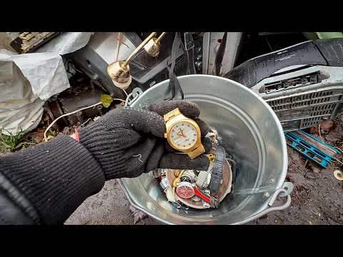 What I Found in ONE BUCKET at the Dump – You Won't Believe It!