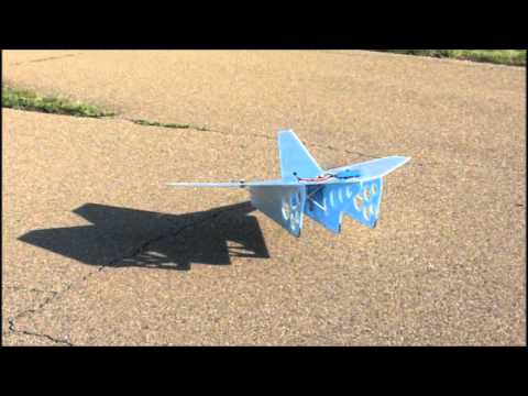 Bigger Slow Delta RC First Flight