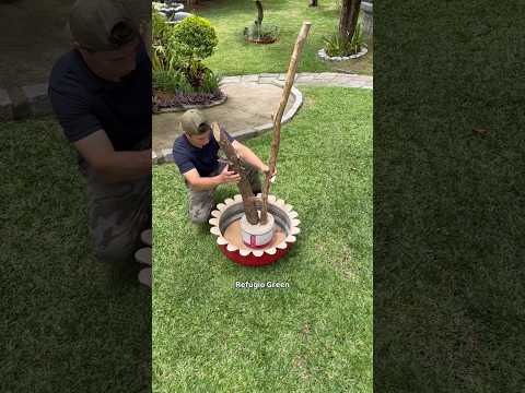 Decoração para o seu jardim!🪵🌸