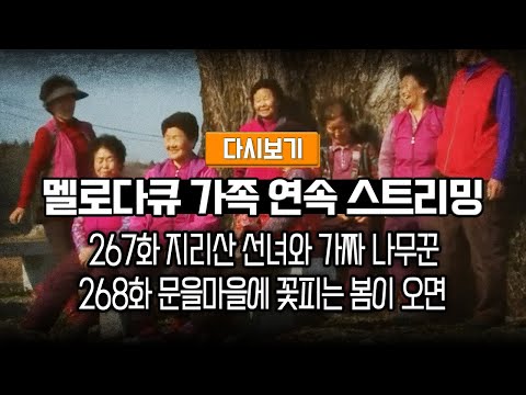 [다시보기] OBS 다시 보는 멜로다큐 가족 267화 지리산 선녀와 가짜 나무꾼, 268화 문을마을에 꽃피는 봄이 오면 (풀영상)